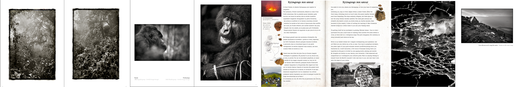 Beringei, sélection de pages